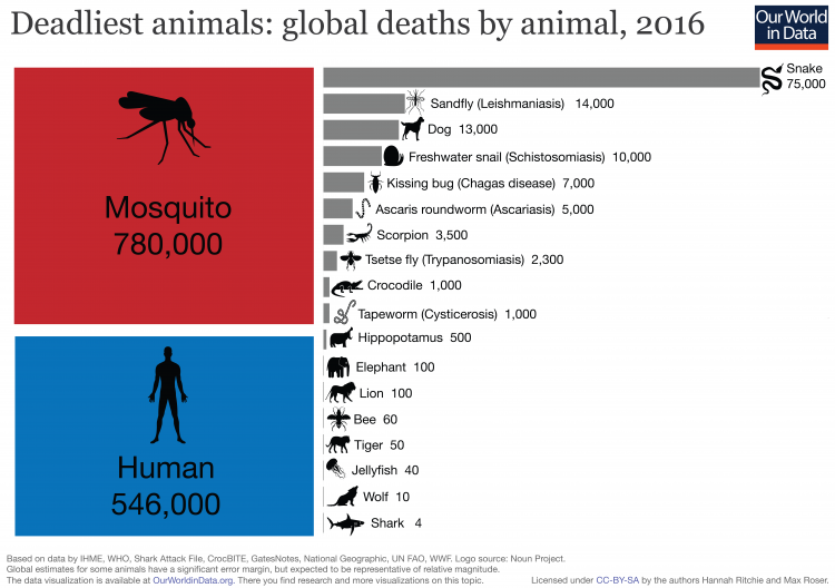 Deadliest animals 01