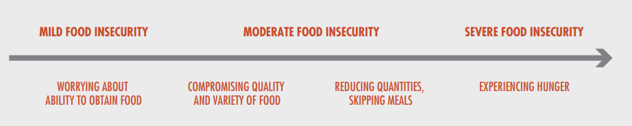 Food insecurity scale