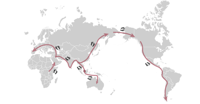 Quaternary extinctions featured image